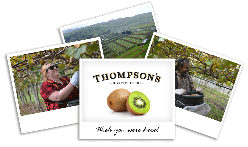 Join the Thompson's Family