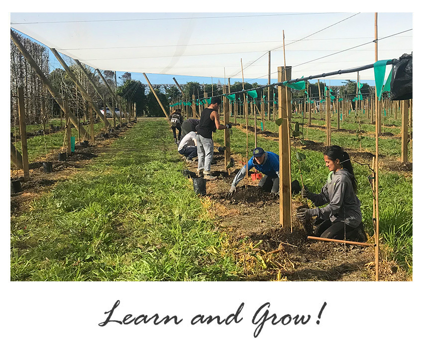Learn and Grow at Thompson's